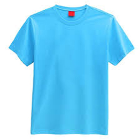 Blue Chicken T-shirt Photo